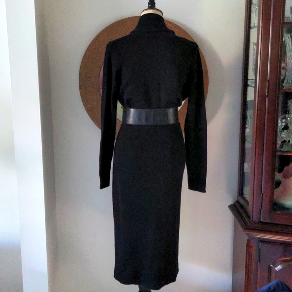 COPY - Ann Taylor Cashmere dress. Had 2 of them. - Picture 4 of 14
